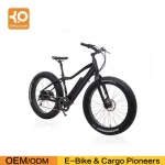 36V 350W rear motor fat electric mountain bike snowmobile double disc brakes for wholesale