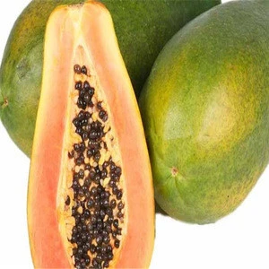 Agriculture high Germination Rate papaya seeds