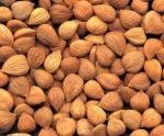 Apricot kernels