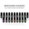 Aromatherapy Essential Oil Diffuser Gift Set - nearly one hundred kinds Essential Plant Oils -
