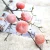 Import Artificial dried persimmon fruit pansy flower from China