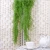Import Artificial plant air grass rattan bundle decorates plastic green plant house wall to hang wedding decoration piece leaf from China