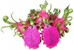 Asian Red Fresh Dragon Fruit (Vietnam)