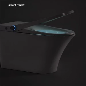 AXENT High-end Good Quality Smart Siphon Flushing E314-0231H Intelligent WC Toilet