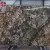 Import Backlit granite slab from China