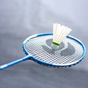 Badminton rackets full carbon fiber material 100% graphite China OEM factory racquet
