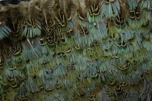 Beautiful and cheap Green Ringneck Pheasant Feather Trim 4-8cm Natural Green Pheasant Feather Fringe Trim