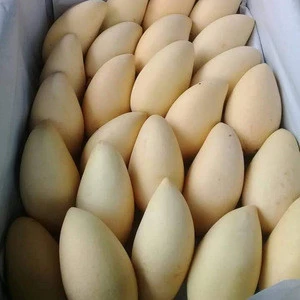 Best Quality Thai Fresh Premium Mango Golden NAM DOK MAI From Central Of Thailand