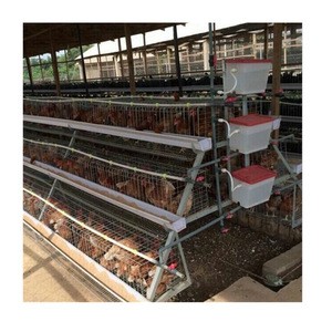 best sale long life span galvanized chicken layer cage for Bangladesh poultry chicken farming increasing eggs production