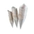 Import biodegradable disposable wooden cone ice cream cone from China