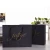 Import Black  Cardboard Luxury Shopping Paper Bag with Printed Logo from China
