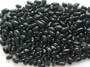 BLACK KIDNEY BEANS / BLACK BEANS / Canned Black Kidney Beans
