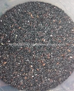 Black Rice /Organic black Rice of Nepal/Healthy black Rice