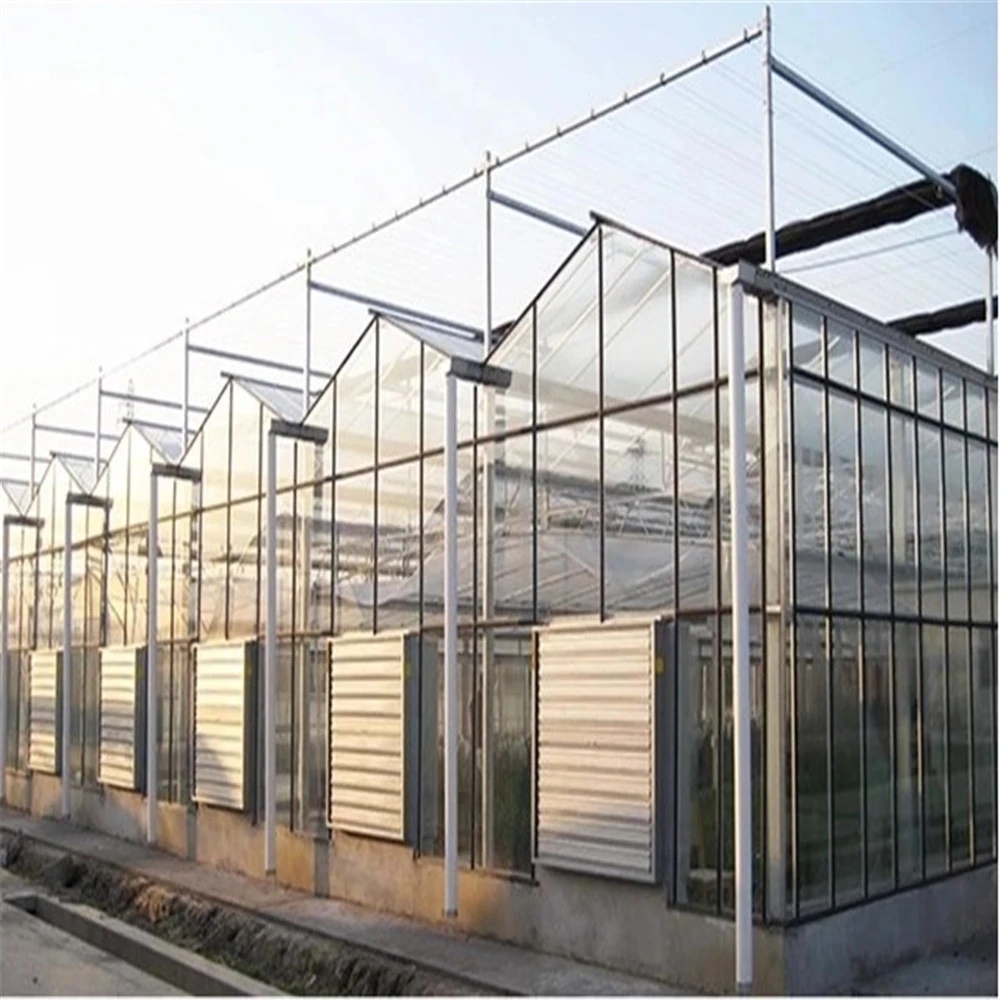Brand new Price Venlo Multi-span Greenhouse Mini Glass Greenhouse with high quality