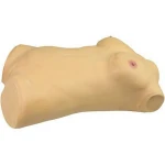 Breast Exam And Gynecological Examination Simulator Medical Training Model for Teaching