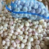 Bulk 10kg garlic in mesh bag of fresh garlic