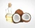 Import Bulk Quantity Extra Virgin Coconut Oil from France