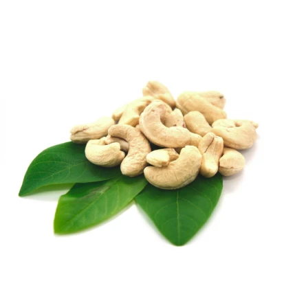 Cashew /Cashew Nuts/ Cashew Kernels WW240
