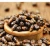Import Castor Oil Seeds from USA