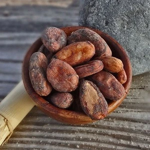 Certified Cacao Beans from Peru - Super Foods
