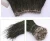 cheap 5-7 inch Natural Strung peacock herl Feather for clothes decoration