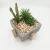 Import Cheap home decorative artificial succulent mini artificial plants in pots from China