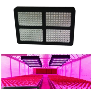 Cheapest price Best full spectrum 1200W led grow light Replaces HPS Grow Lights With UV IR
