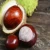 Import ChestNut  , Organic Sweet Yanshan Fresh Chest Nuts from Germany