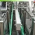 Import China Big Factory Good Price multi function carton packing machine from China