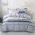 Import China Comforter Designers 100% Cotton Duvert Cover Bed Sheet Bedding Sets from China