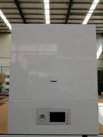China Factory Professional Manufacturer Gas Water Heater Boiler