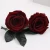 China natural luxury box flower preserved eternal rose for sale