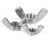 Import China Wing Nut Supplier Butterfly Special Stainless Steel from China
