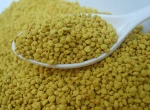 Chinese pure rape pollen/rape bee pollen for Korea exporting