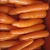 Import Chinese red fresh carrot price/ dried carrot from China
