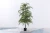 Import Chinese yew green wood stake floral plant garden plant support green wooden green plant support from China