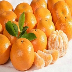 Citrus Fruit Product Type and Nanfeng Mandarin Orange fresh kino mandarin