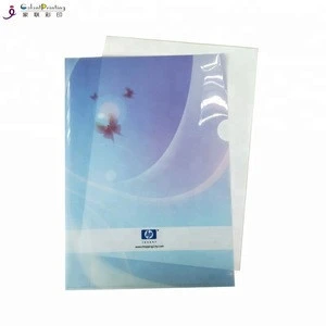 Clear PP/PVC Plastic File Folder Fancy PVC Documet Folder With Custom Logo