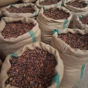 Cocoa Beans - Cacao Beans - Chocolate beans High Quality Indonesia