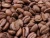 Import Coffee Beans from India from India