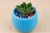 Import Colorful Mini Planter Pots Recycled Plastic Pot Perfect For Succulents Flowerpot Strong Reusable Plant Flower Herb Bed Flowerpot from China