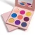 Import Cosmetics Makeup OEM Custom 9 Colors Pink Eyeshadow Eye Shadow Palette from China
