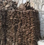 Cow Dung Organic Fertilizer