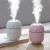 Import Creative Gift Home Appliance Cute Design Car Humidifier With Breathing Lamp, Egg Shape Portable USB Mini Humidifier from China