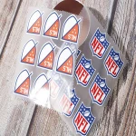 Custom Chameleon Heat Transfer Printing Label Sticker for Clothing