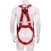 Customized 100%Polyester 3-point Safety Full Body Harness