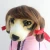 Import Cute Dog Supplies Costumes Wavy Hair Cat Wig Party Style Pet hat from China