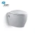 Import D-P3630 Durable dual-flush p-trap two piece stronger wall hang toilet bowl wall mounted toilet from China