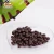 Import de choco melon covered beans halal nut sweet prices mini Sunflower Seeds Chocolate from China