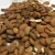 Import Debittered Apricot Kernels from Factory. from Germany